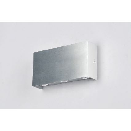 LED Outdoor wall light SILBER 6xLED/1W/230V IP54