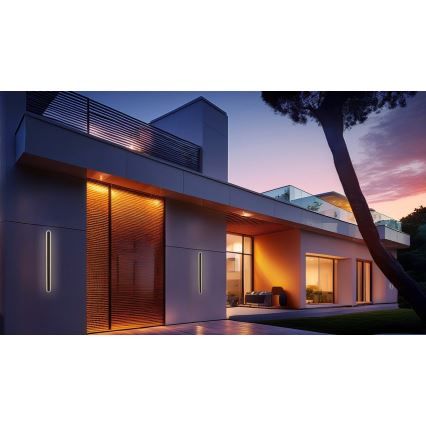 LED Outdoor wall light STICK LED/12W/230V IP65 3000K 30 cm