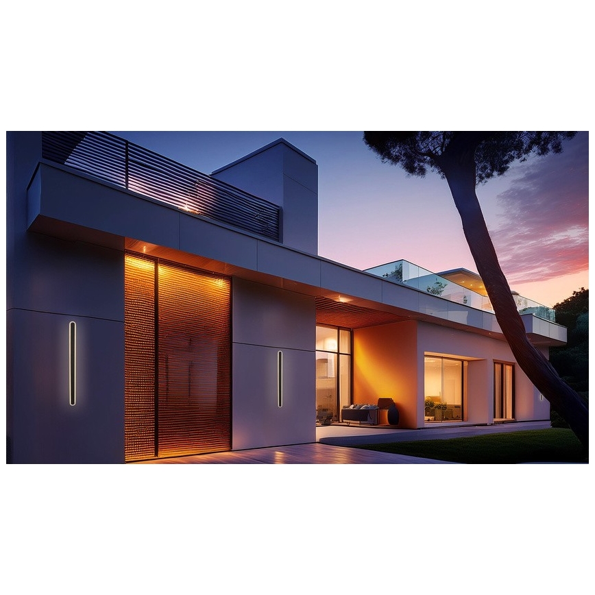 LED Outdoor wall light STICK LED/12W/230V IP65 3000K 30 cm