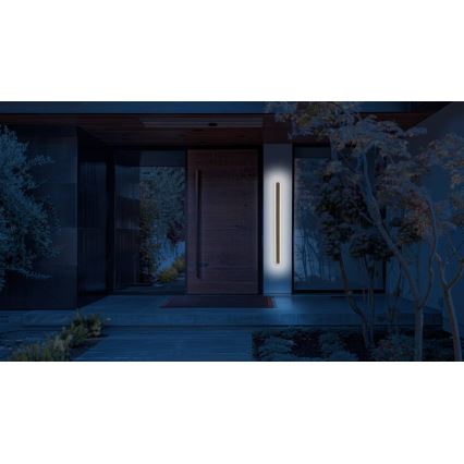 LED Outdoor wall light STICK LED/12W/230V IP65 3000K 30 cm