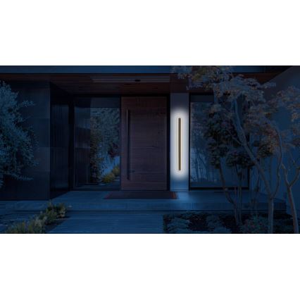 LED Outdoor wall light STICK LED/36W/230V IP65 3000K 120 cm