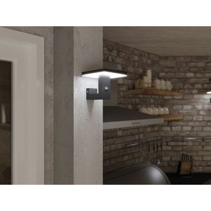 LED Outdoor wall light with a sensor BARI LED/10W/230V 4000K IP54 anthracite