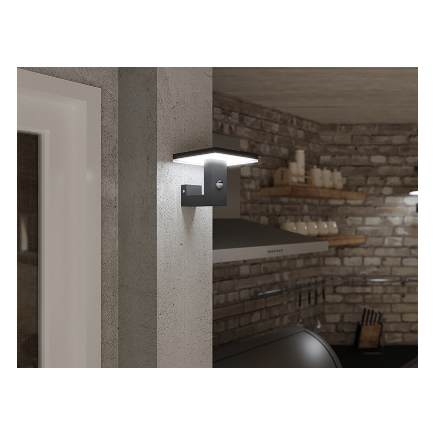 LED Outdoor wall light with a sensor BARI LED/10W/230V 4000K IP54 anthracite