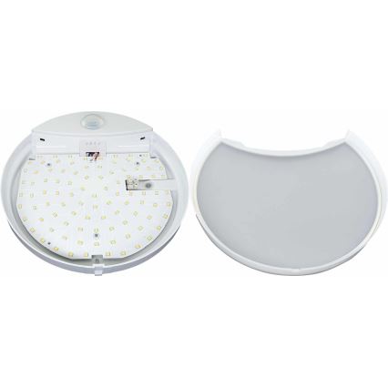 LED Outdoor wall light with a sensor HIBIS LED/15W/230V IP44