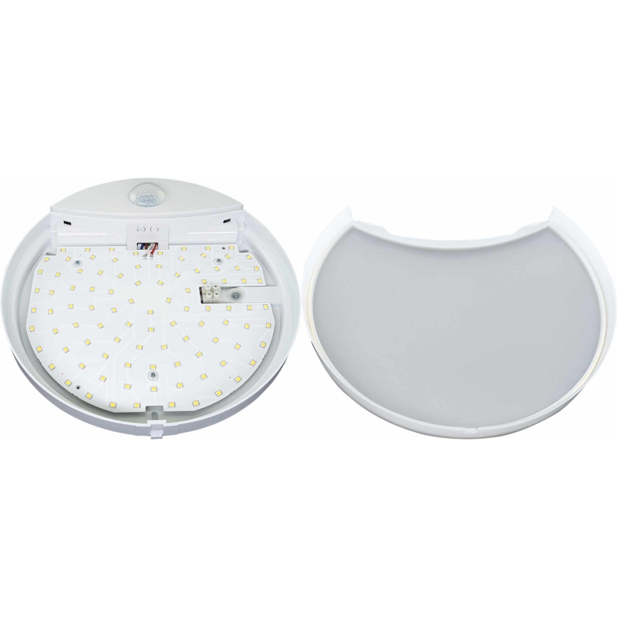 LED Outdoor wall light with a sensor HIBIS LED/15W/230V IP44