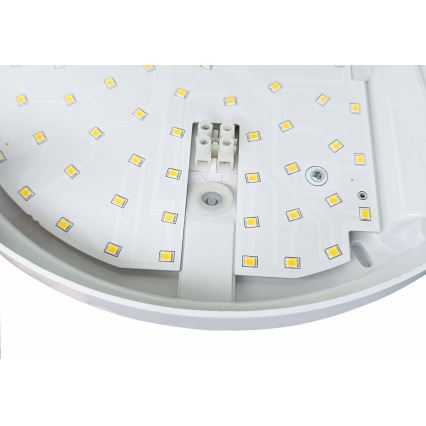 LED Outdoor wall light with a sensor HIBIS LED/15W/230V IP44