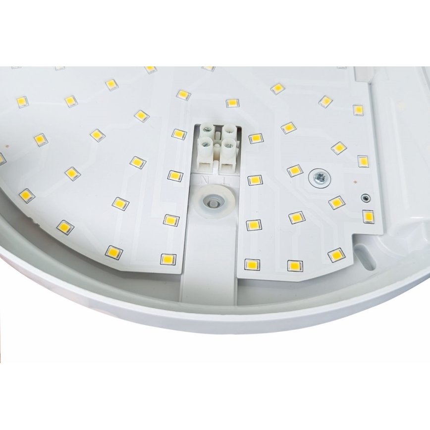 LED Outdoor wall light with a sensor HIBIS LED/15W/230V IP44
