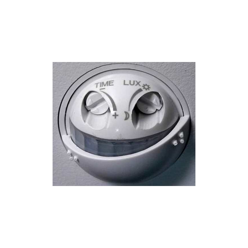 LED Outdoor wall light with a sensor LED/10W/230V IP54