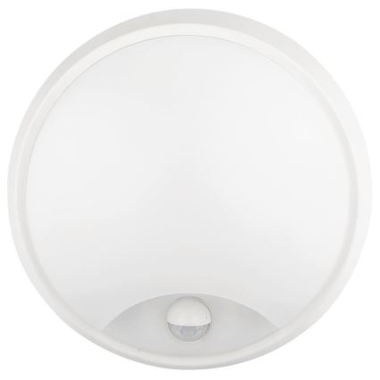 LED Outdoor wall light with a sensor LED/12W/230V 3000/4000/6500K IP65