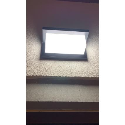 LED Outdoor wall light with a sensor LED/12W/230V IP54 black