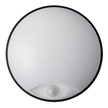 LED Outdoor wall light with a sensor LED/14W/230V IP54