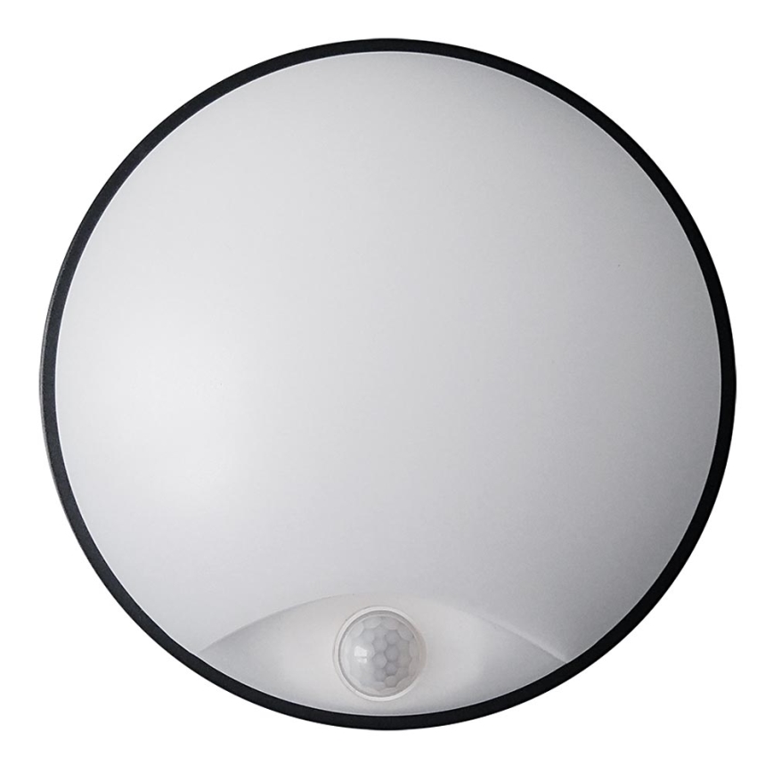 LED Outdoor wall light with a sensor LED/14W/230V IP54