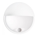 LED Outdoor wall light with a sensor LED/14W/230V IP54