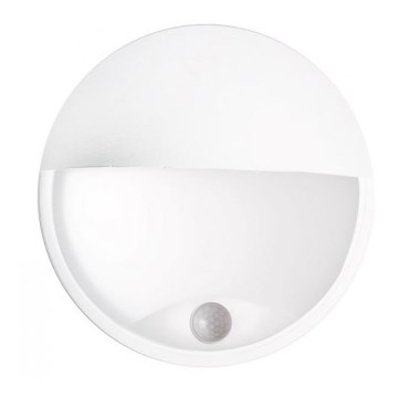 LED Outdoor wall light with a sensor LED/14W/230V IP54