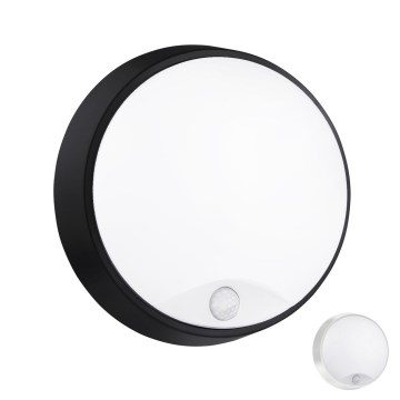 LED Outdoor wall light with a sensor LED/15W/230V 4000K IP65