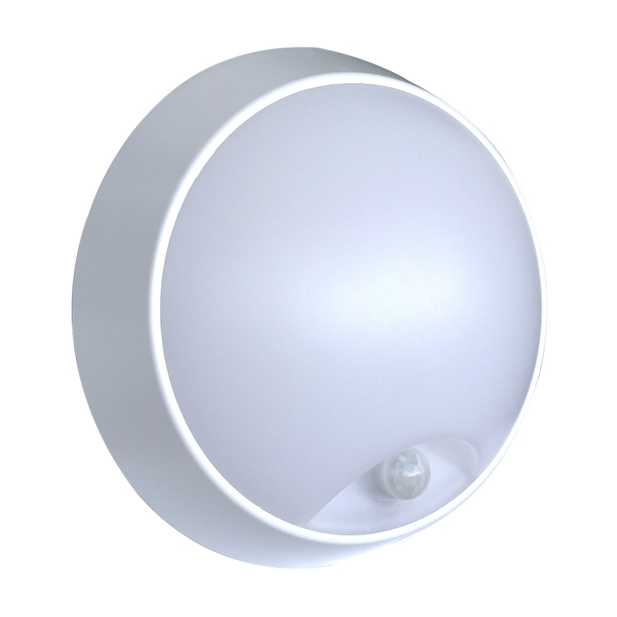 LED Outdoor wall light with a sensor LED/15W/230V 4000K IP65