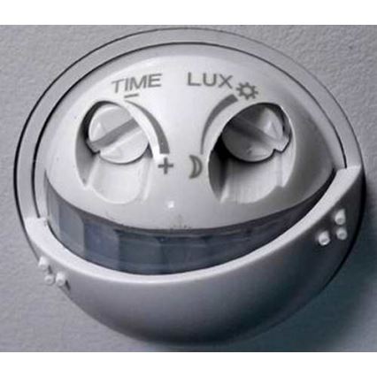 LED Outdoor wall light with a sensor LED/15W/230V IP54