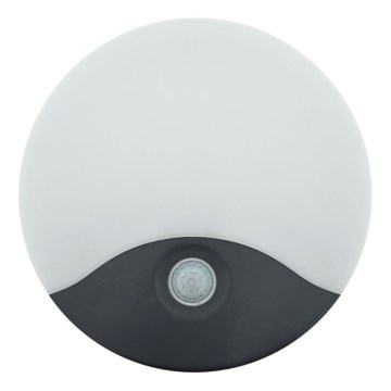 LED Outdoor Wall Light with Motion Sensor, 18W, 230V, IP44, White