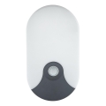LED Outdoor Wall Light with Motion Sensor, 18W LED, 230V, IP44, Anthracite