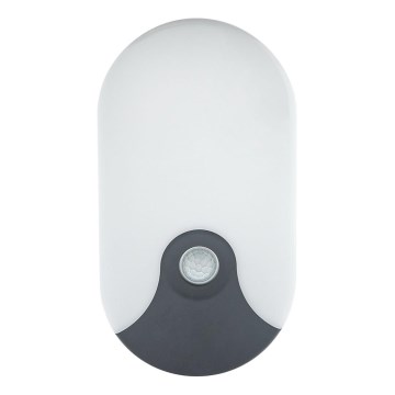 LED Outdoor Wall Light with Motion Sensor, 18W LED, 230V, IP44, Anthracite