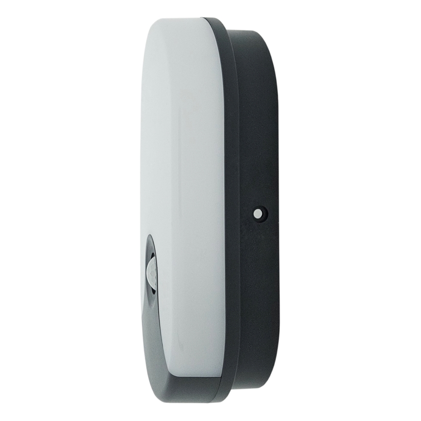 LED Outdoor Wall Light with Motion Sensor, 18W LED, 230V, IP44, Anthracite