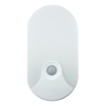 LED Outdoor Wall Light with Motion Sensor, 18W LED, 230V, IP44, Anthracite