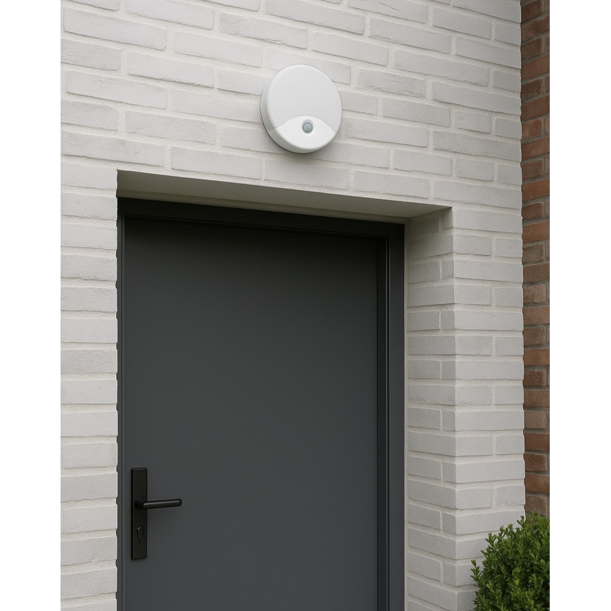 LED Outdoor Wall Light with Motion Sensor, 18W LED/230V, IP44, White