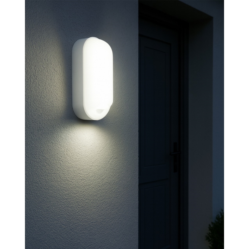 LED Dimmable Outdoor Wall Light with Motion Sensor LED/12/15/18W/230V 3000K/4000K/6500K IP65 black/white