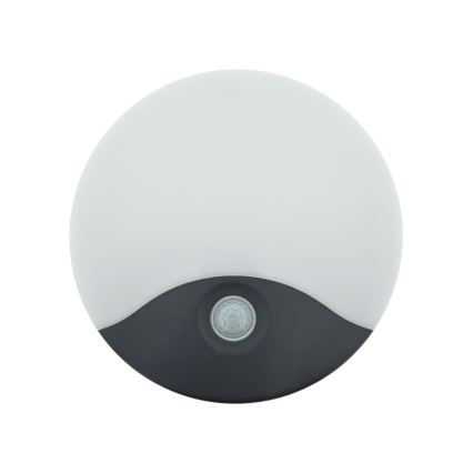 LED Outdoor Wall Light with Motion Sensor LED/18W/230V IP44 Anthracite