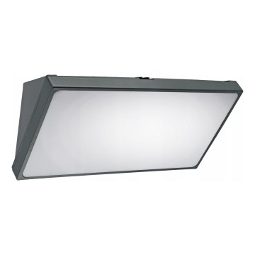 LED outdoor wall light with motion sensor LED/20W/230V IP65 gray