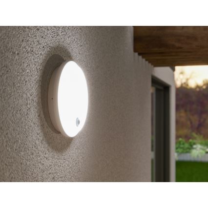 LED Outdoor Wall Light with Motion and Dusk Sensor LED/15W/230V IP65 White