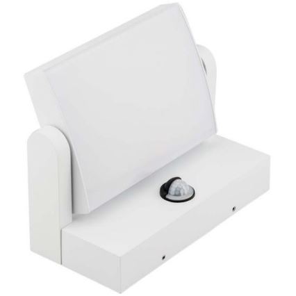 LED Outdoor Wall Light with Sensor LED/17W/230V 4000K IP65 White