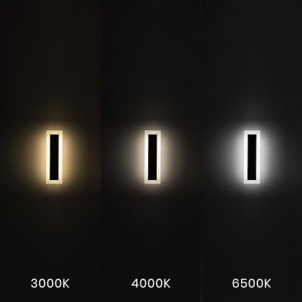 LED Outdoor Wall Light WOW LED/10W/230V 3000/4000/6500K 30 cm IP54 Black