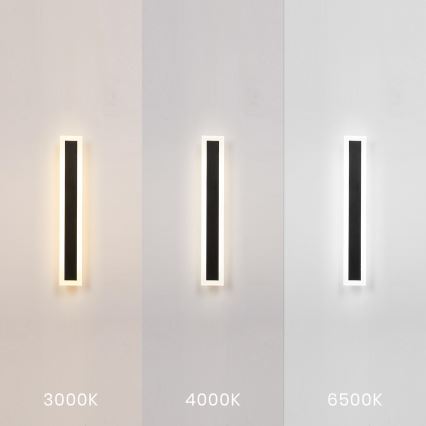 LED Outdoor Wall Light WOW LED/20W/230V 3000/4000/6500K 60 cm IP54 black