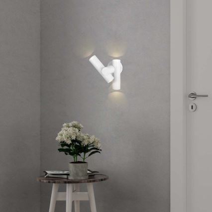 LED Outdoor wall flexible spotlight 2xLED/3W/230V 4000K IP44 white
