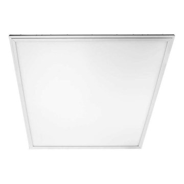LED Panel 2in1 LED/40W/230V 6000K 60x60 cm