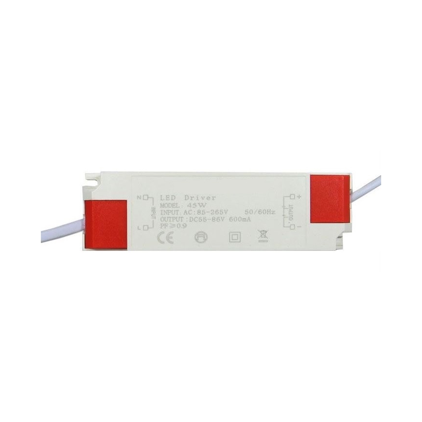 LED Panel 2in1 LED/40W/230V 6000K 60x60 cm