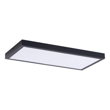 LED Panel LED/36W/230V 4000K 30x60 cm black