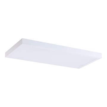 LED Panel LED/36W/230V 4000K 30x60 cm white