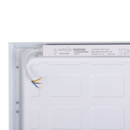 LED Panel LED/36W/230V 4000K 30x60 cm white