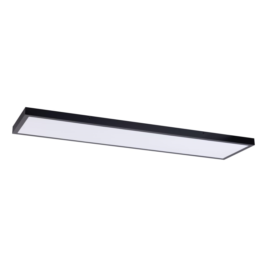 LED Panel LED/60W/230V 4000K 30x120 cm black