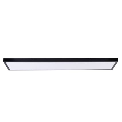 LED Panel LED/60W/230V 4000K 30x120 cm black