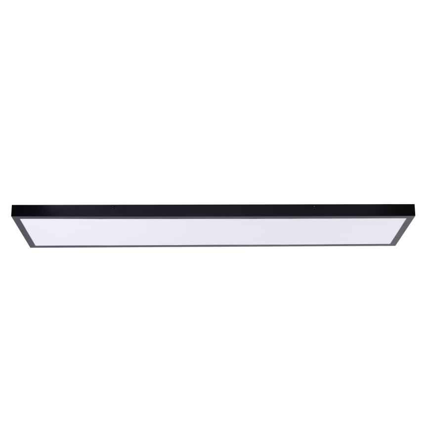 LED Panel LED/60W/230V 4000K 30x120 cm black