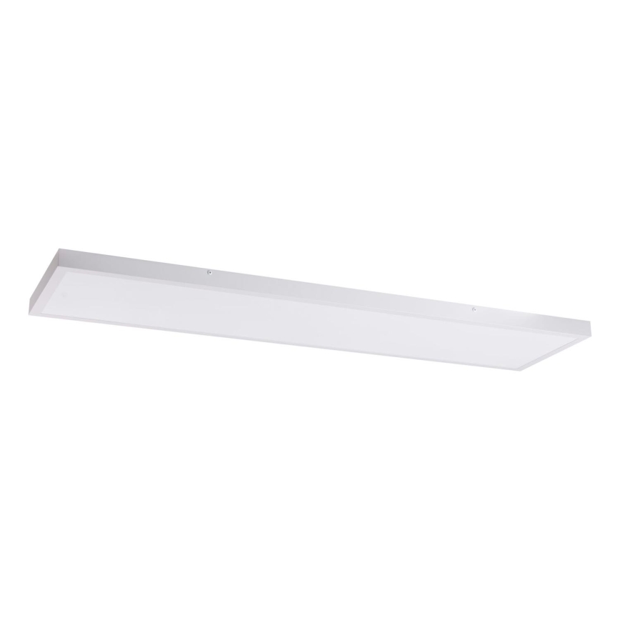 LED Panel LED/60W/230V 4000K 30x120 cm white