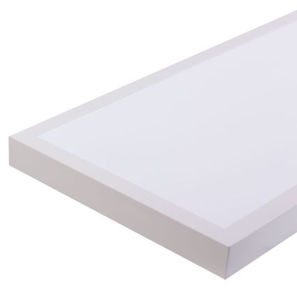 LED Panel LED/60W/230V 4000K 30x120 cm white
