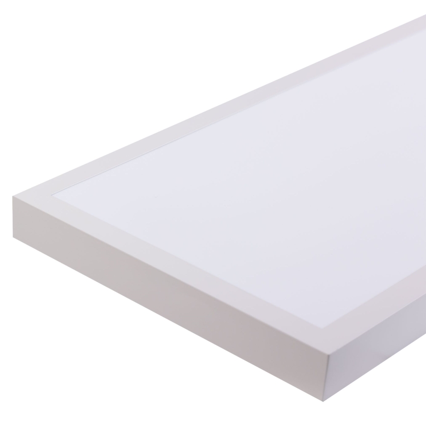 LED Panel LED/60W/230V 4000K 30x120 cm white