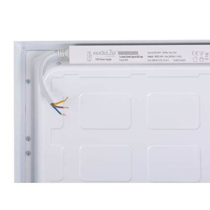 LED Panel LED/60W/230V 4000K 30x120 cm white
