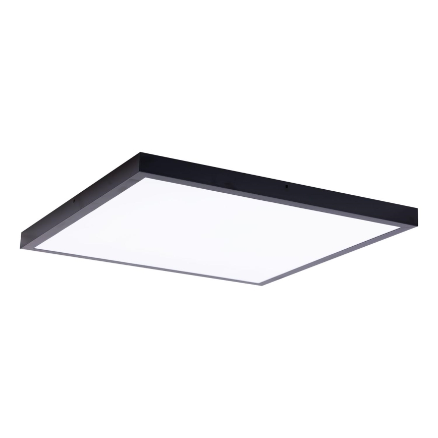LED Panel LED/60W/230V 4000K 60x60 cm black