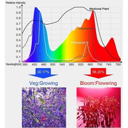 LED Pendant light for growing plants LED/24W/230V IP44