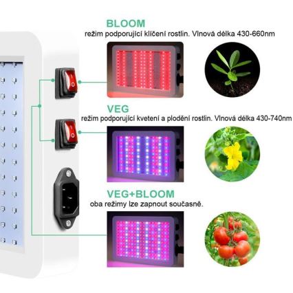 LED Pendant light for growing plants LED/36W/230V IP44